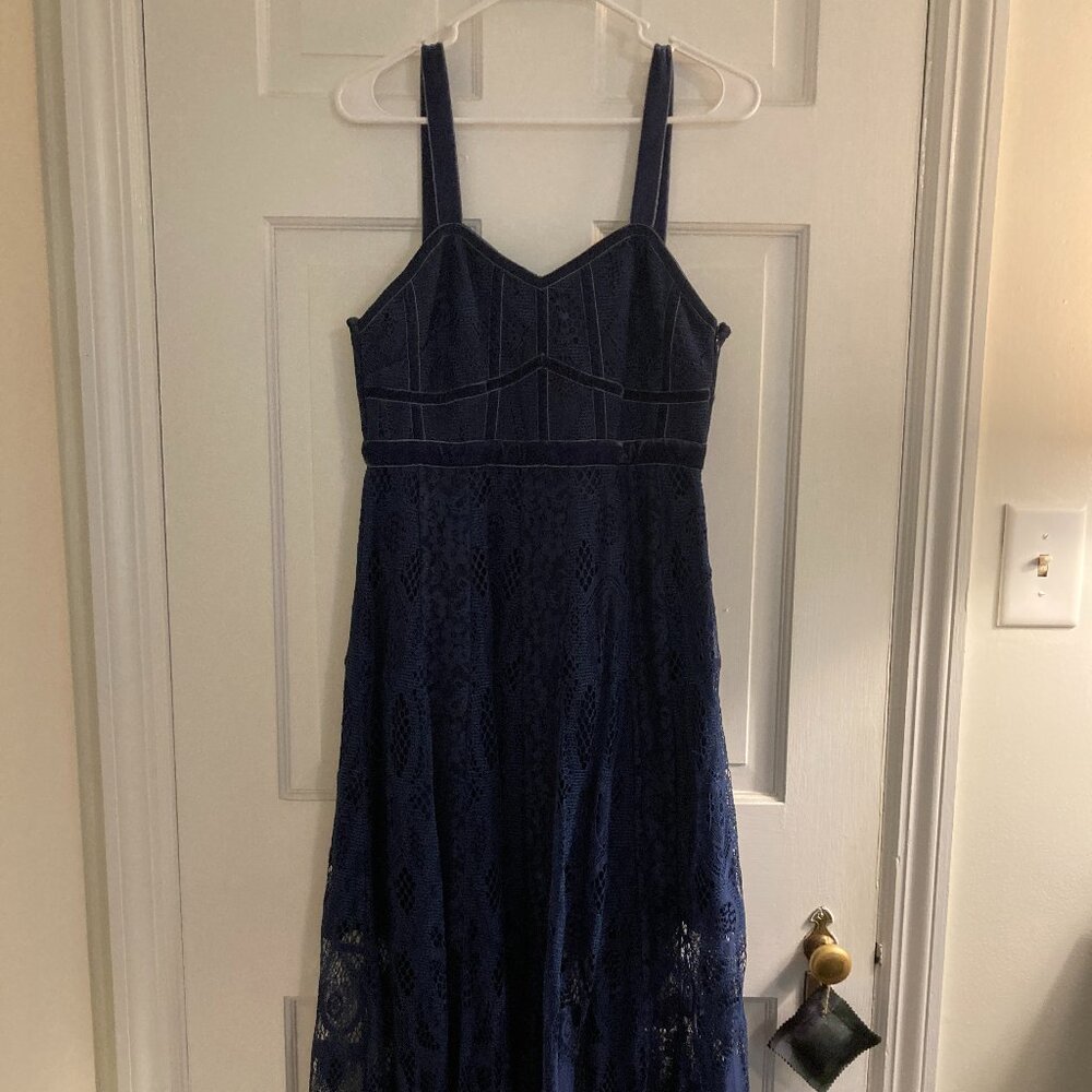 Vintage Anthropologie Foxiedox Blue Whimsigoth Fairy Lace Velvet Formal Dress